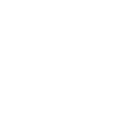 In-house Team