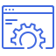 Custom Module Development