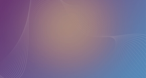 Web App Portfolio